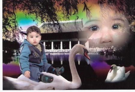 c mahdi le fils de ma soeur fofo c ma vie